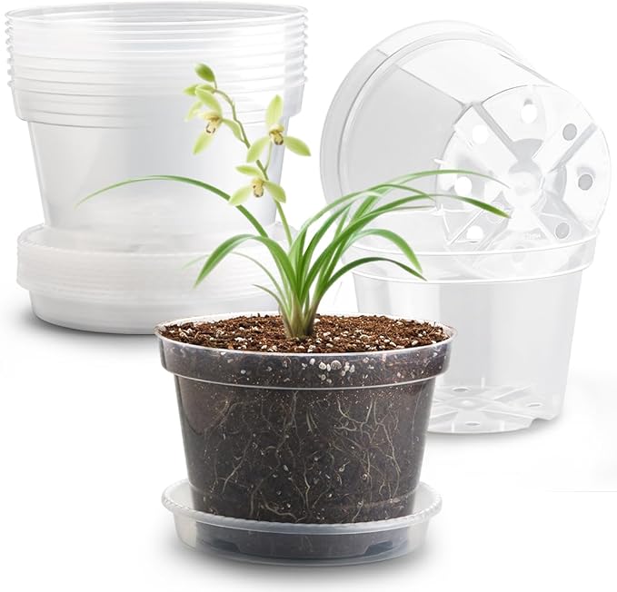 12 Pack 8 Inch Clear Plant Pots by RooTrimmer