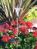 Solar Garden Stake Lights with Color Changing LED or Regular White LED by Ntertainment+House