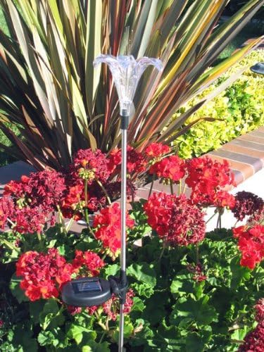 Solar Garden Stake Lights with Color Changing LED or Regular White LED - Image 2