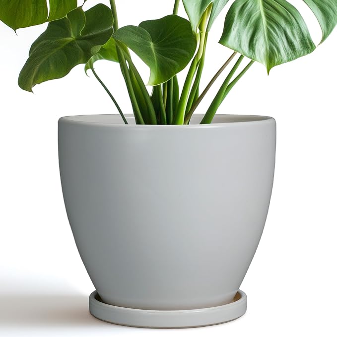 Ceramic Pots for Plants by EPFamily