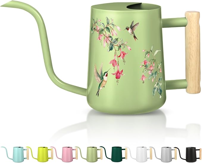 Watering Can Indoor Plants, 35oz Small Stainless Steel Metal Watering Can by GUKJOB