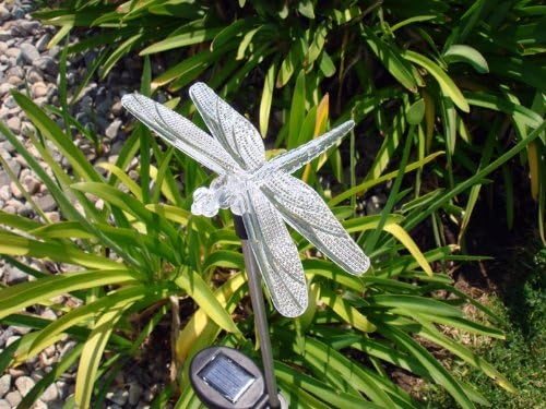 Solar Garden Stake Lights with Color Changing LED or Regular White LED by Ntertainment+House
