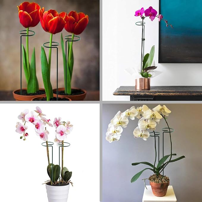 HiGift 5 Pack Plant Support Stakes, Garden Single Stem Flower Support Stick - Image 3