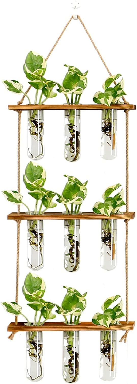 XXXFLOWER Wall Hanging Propagation Station by XXXFLOWER