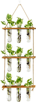 XXXFLOWER Wall Hanging Propagation Station by XXXFLOWER