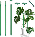 Extendable Plant Stakes, Length Scalable from 17.9IN to 42.3IN Plant Support by BOVITRO