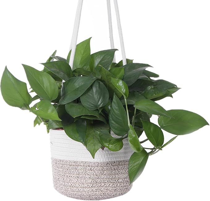 Hanging Planter Basket Jute Rope Woven Plant Hangers Indoor Hanging Plant - Image 4