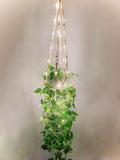 2 Packs Fake Hanging Plant by Comtelek