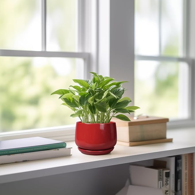 G EPGardening Ceramic Pots for Plants - Image 6