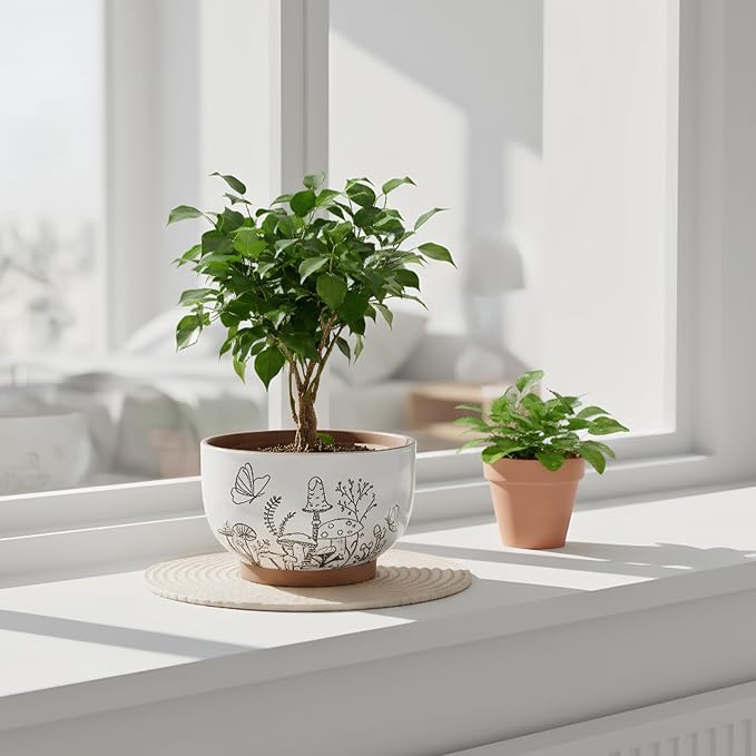 YBX 8 Inch & 6 Inch Terracotta Pots, Plant Pots, Flower Pots - Image 3