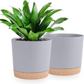 QCQHDU 10 inch Plant Pot, 2 Pack Planters by QCQHDU