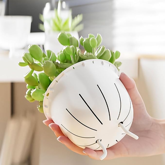 2 Pack 6 inch Self Watering Pots Planters - Image 4