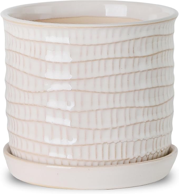 5.8 Inch Plant Pot: Ceramic Planter by Chubacoo
