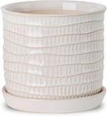 5.8 Inch Plant Pot: Ceramic Planter by Chubacoo