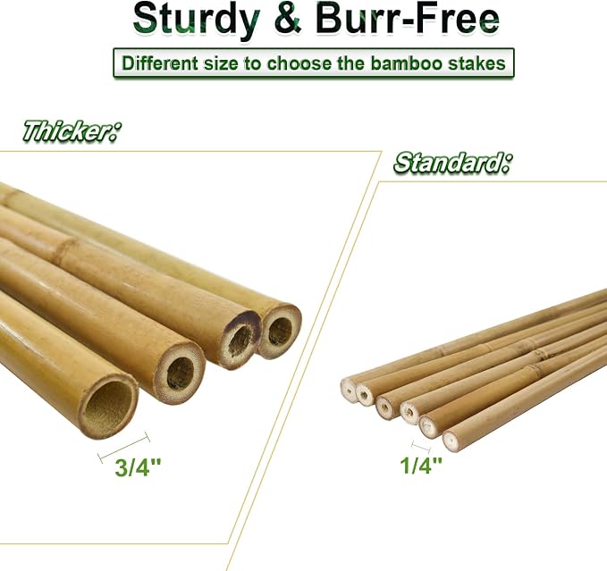 15pcs 3/4" D Thicker Heavy Duty Bamboo Stakes, 7FT Plant Stakes, Natural Garden - Image 5