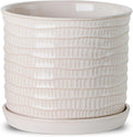 8 Inch Plant Pot: Ceramic Planter by Chubacoo
