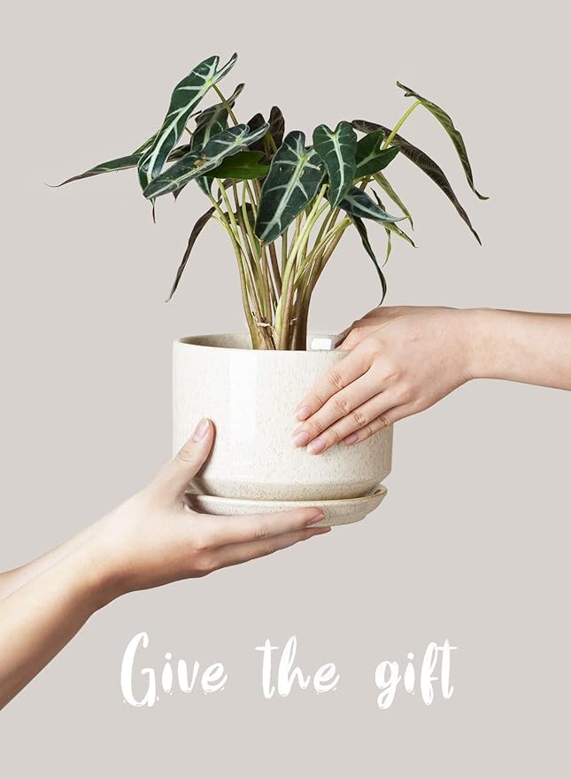 LE TAUCI Ceramic Plant Pots, 4.3+5.3+6.8 inch, Planters - Image 6