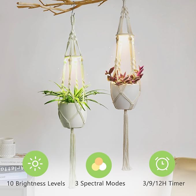 Macrame Plant Hanger with Grow Light: 2 Pack Sturdy Hanging Planters - Image 4