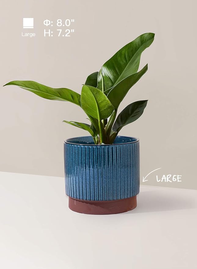 LE TAUCI Ceramic Pots for Plants, 8+6.7+5.5 Inch Plant Pots Indoor, Flower Pot - Image 3
