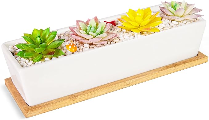 Succulent Pots - 12.1 Inch Large Succulent Pots by ARTKETTY