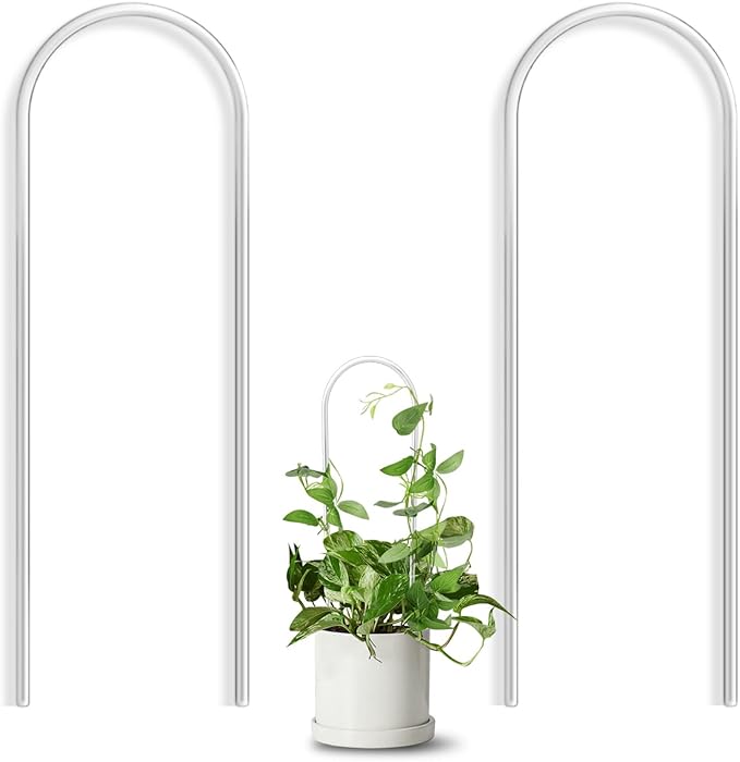 2 Pack U-Shaped Clear Acrylic Trellis by Unknown