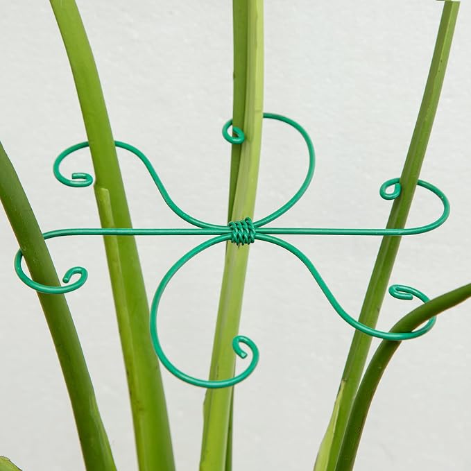 Monstera Plant Stem Support 5 Pcs by Yohsnor