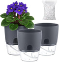 3 Pack Self Watering Pots for Indoor Plants, PlanterHoma 6 Inch Plant Pot by Planterhoma