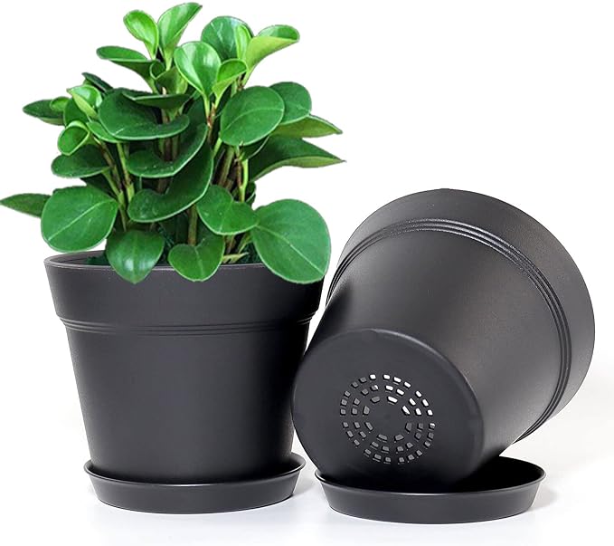WOUSIWER 16 Pack 6 inch Plastic Planters - Image 2