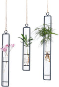 Aoderun Hanging Glass Planter Water Iron Art Hydroponic Vase Transparent Test by Aoderun