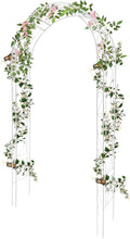 Thickened Garden Arch, Heavy Duty Metal Trellis by Unknown
