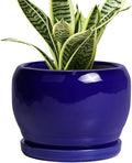 SQOWL Ceramic Planters for Indoor Plants by SQOWL