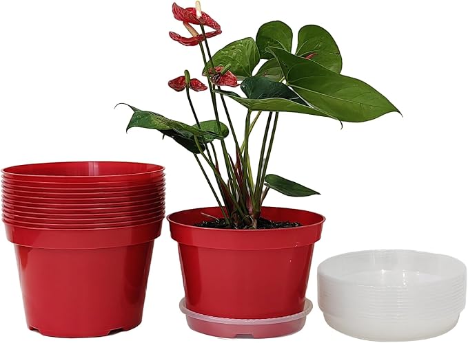 8 inch Plastic Flower Pots by RooTrimmer