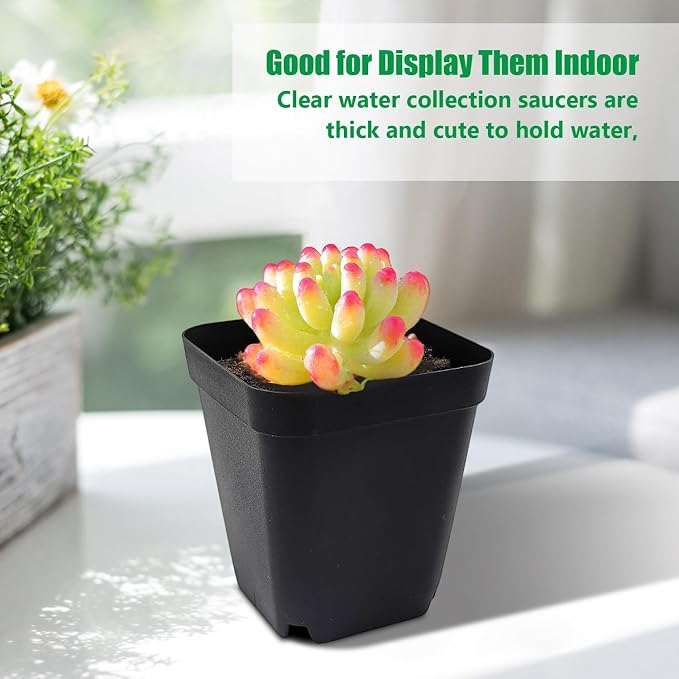 Square Nursery Pots 2.7 Inch, Seed Starting Pot - Image 6
