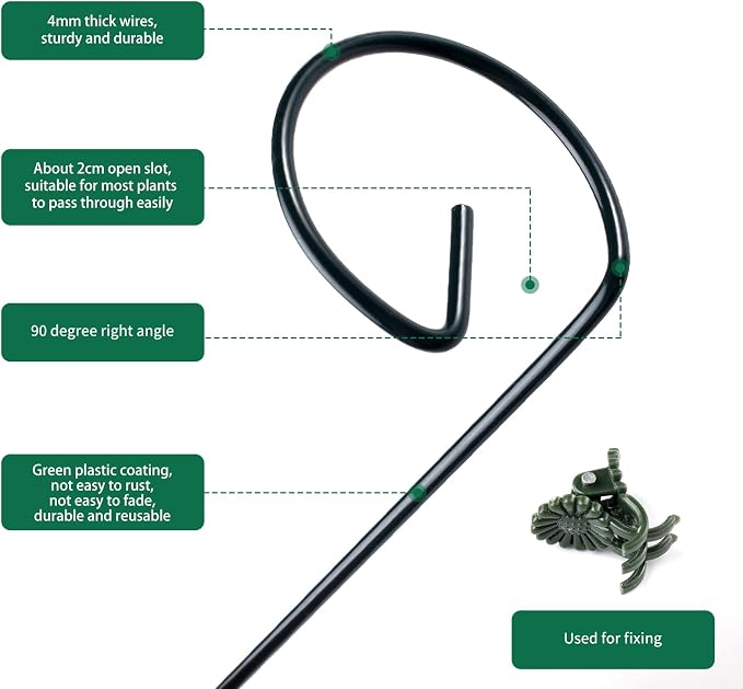 6 Pack Plant Support Stakes - Image 4