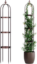 Idzo Trellis for Climbing Plants Outdoor, Garden Trellis Steel, Obelisk Design by Idzo