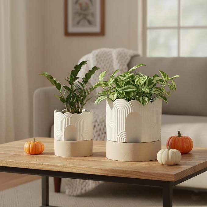 Nihow Self Watering Plant Pot for Indoor Plants : 6 Inch & 8 Inch Ceramic - Image 8