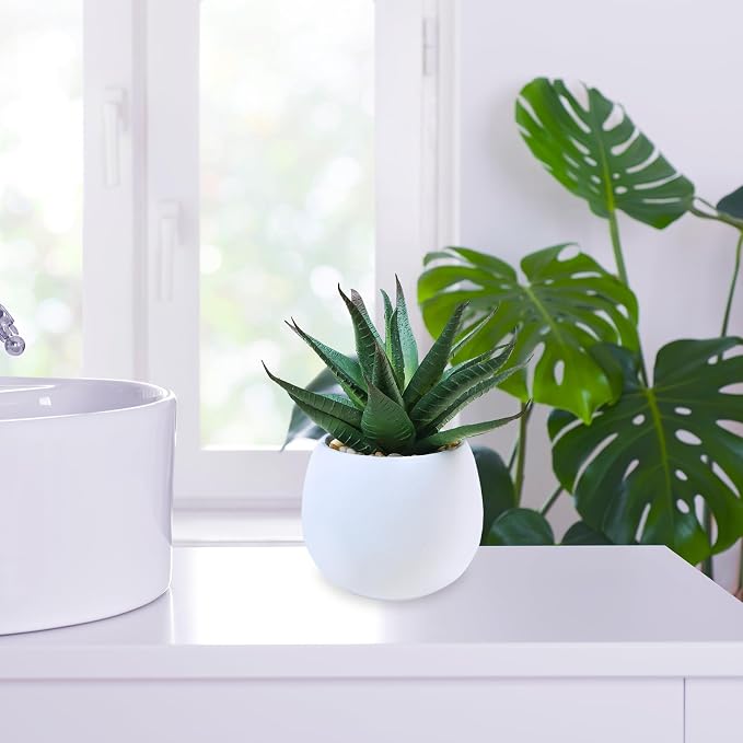 Winlyn Set of 3 Assorted Artificial Succulent Plants in White Concrete Pots - Image 9