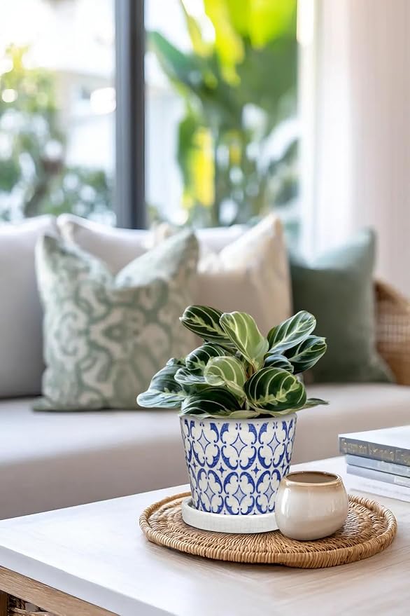 Small Ceramic Pots for Plants, 4.7 inch Blue and White Plant Pot Indoor - Image 6