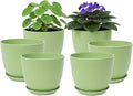 Plant Pots 8 Inch Set of 6, Flower Pots by Vanslogreen