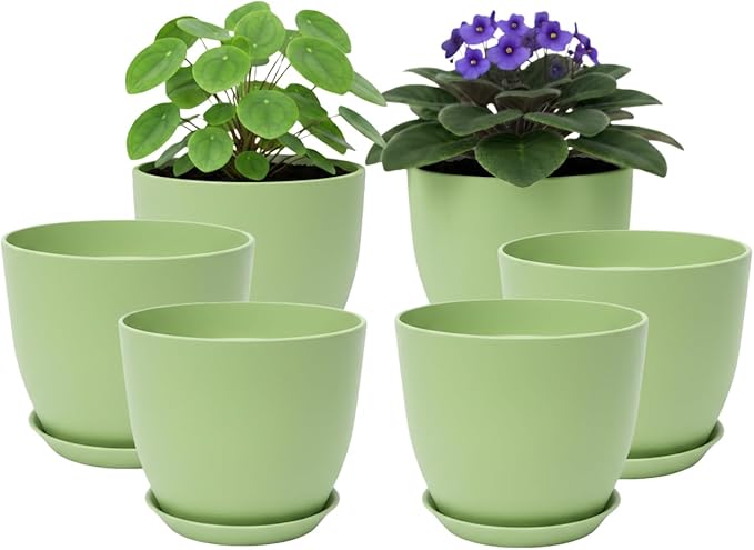 Plant Pots 8 Inch Set of 6, Flower Pots by Vanslogreen