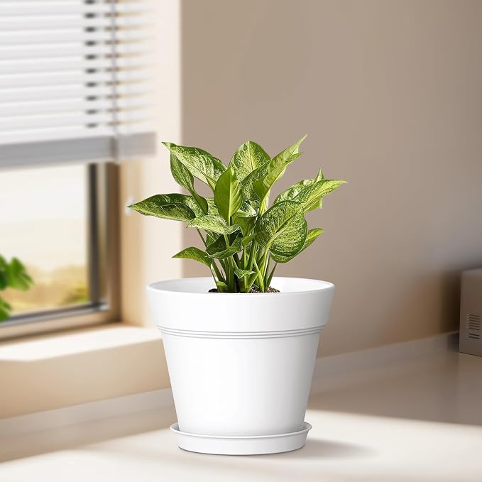 6 Inch Thick Plastic Plant Pots - Image 2