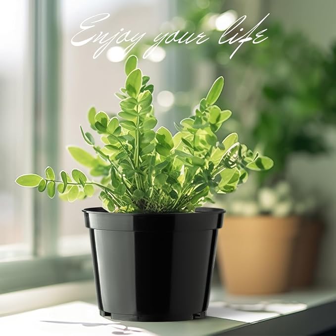 BTPLASTIK 15 Pack 6 Inch Plastic Plant Pots - Image 6