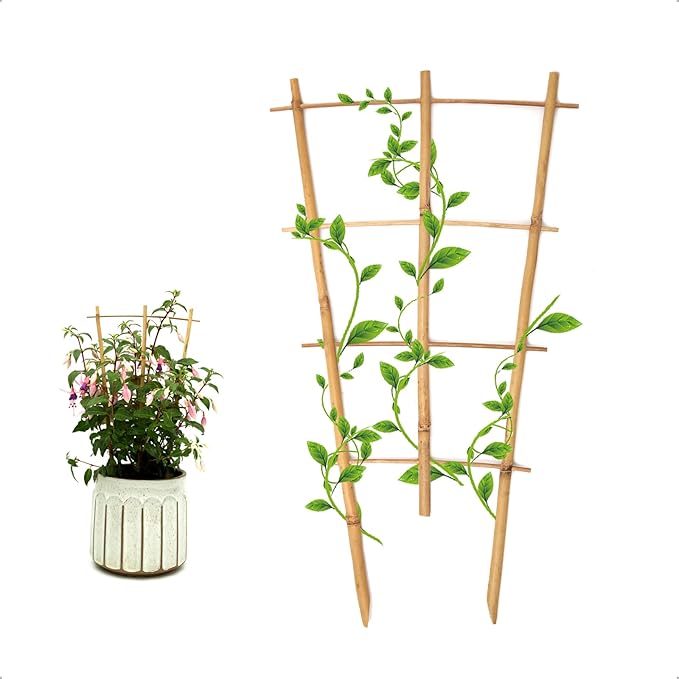 3Pack Bamboo Trellis 16 Inch Fan Shaped Small Plant Trellis by Coloringyourleisuretime