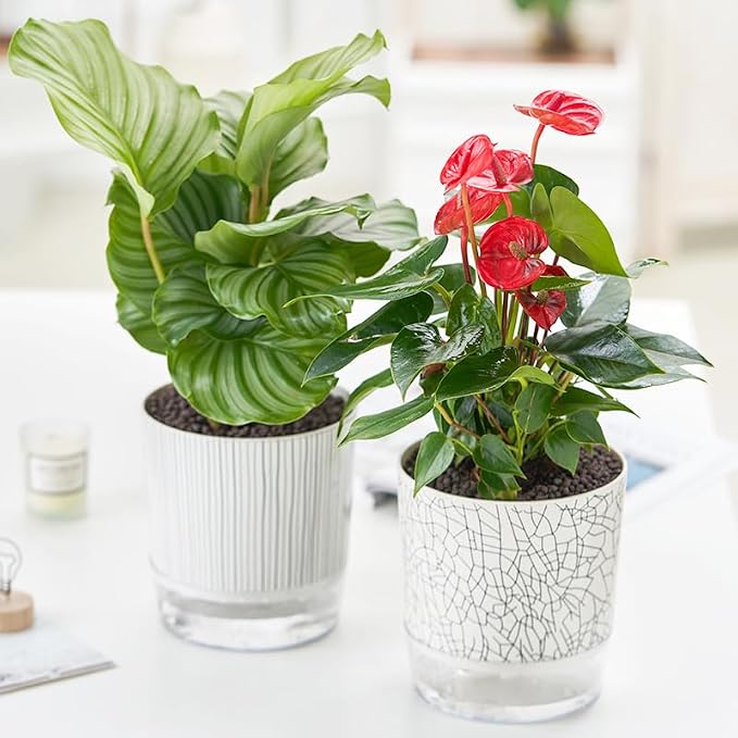 Self Watering Pots for Indoor Plants, Flower Pots, Self Watering Plant Pot-2pcs - Image 9