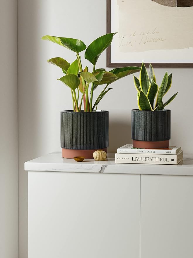 LE TAUCI Ceramic Plant Pots - Image 2