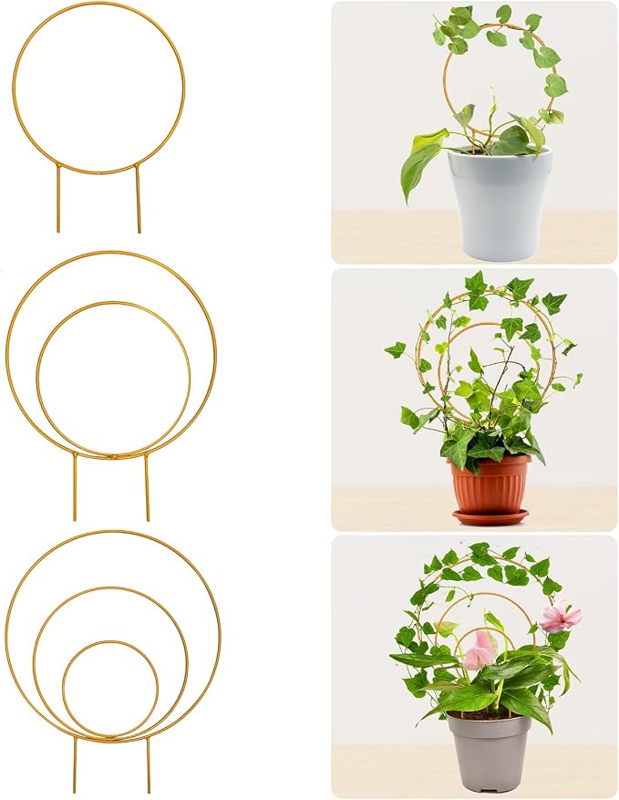 Unique Round Hoya Trellis, Garden Trellis Plant Support - Image 8
