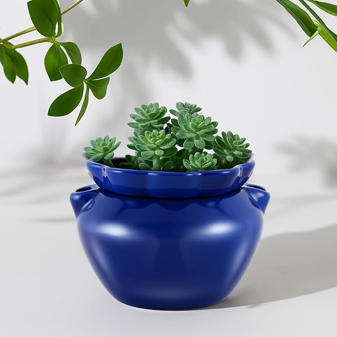 4 Sets African Violet Pots 4 Inch Self Watering Pot - Image 6
