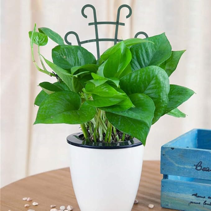 Trellis for Potted Plants, Stackable Small Indoor Plant Trellis for Climbing - Image 2