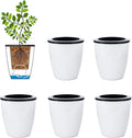 6 Pcs 3.5“ Self Watering Planter White Flower Pot, Flowers Plants, Small Mini by OYSIR