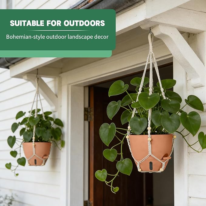 Self-Watering Hanging Planters for Indoor Plants Set 2-Piece Includes Plant - Image 4